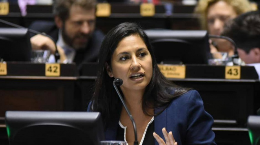 Indarte: "La labor legislativa se desarrolla más allá de una estructura edilicia"