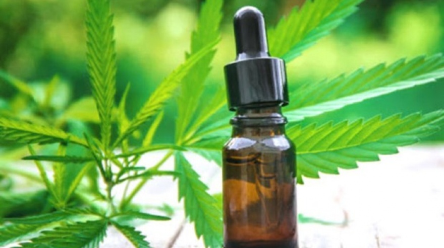 Qué dice el proyecto que busca autorizar el autocultivo de cannabis medicinal y su uso en hospitales