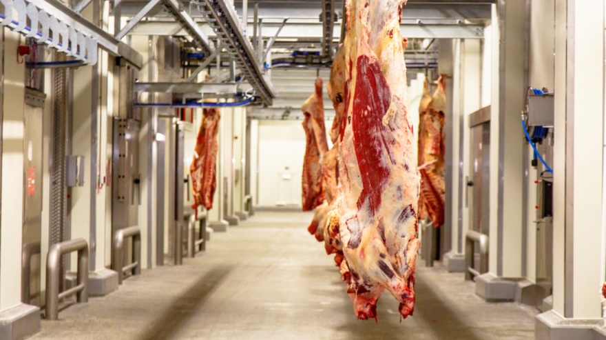 Carne: oficializan la flexibilización al cepo que prometió el Gobierno