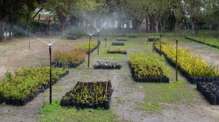 El Partido de La Costa tendrá su primer Parque Ambiental dentro del Vivero Cosme Argerich de San Clemente