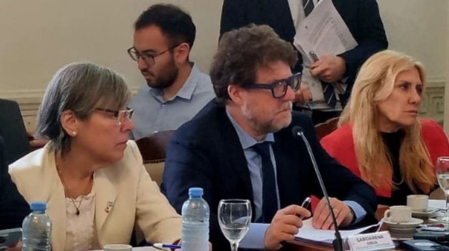 Movimientos en la Cámara baja bonaerense: la UCR oficialista le arrebató una diputada al tándem Lousteau y Manes