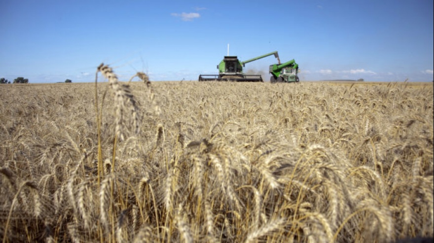 Las lluvias mejoraron las perspectivas del campo en toda la provincia