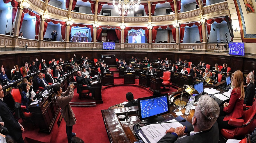 Magario desempató la votación y el Senado dio media sanción a las reelecciones indefinidas