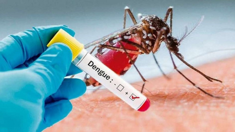 La Provincia comienza a vacunar a quienes no hayan tenido dengue