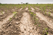 El gobierno bonaerense anunció la continuidad de la emergencia agropecuaria