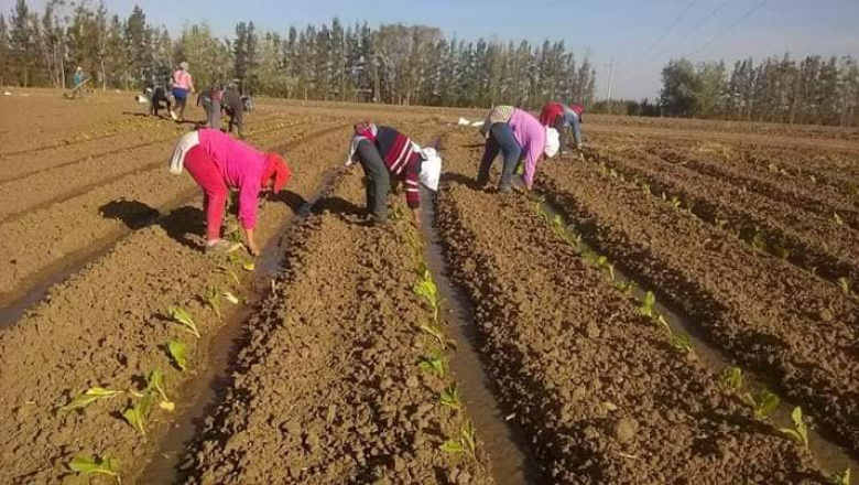 Sánchez Jauregui: “Las mujeres rurales sostienen la vida y la producción, pero siguen siendo invisibilizadasâ€