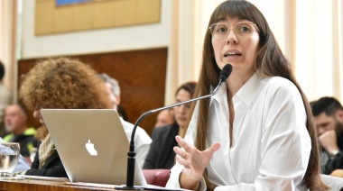 Romero “La falta de médicos profesionales obligaría al HIGA a poner a estudiantes de medicina a atender las guardias”