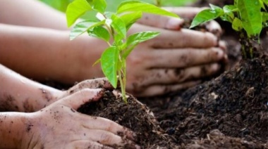 El Senado aprobó una iniciativa para que la Provincia adhiera a la Ley Nacional de Educación Ambiental