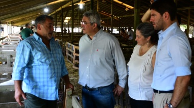 Ayacucho: se realizó la 100° exposición de Reproductores Ovinos