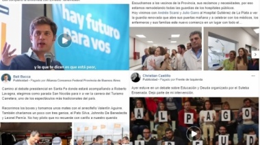 Elecciones: ¿cuánto invirtieron los candidatos bonaerenses en Facebook?