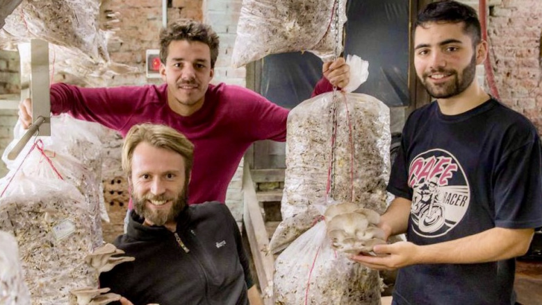 Duró poco: en menos de dos años, cerró en Balcarce la primera biofábrica de insectos