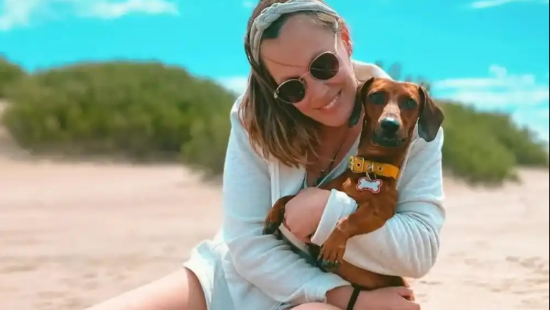 Tragedia en Mar del Plata: una periodista murió tras caer desde un acantilado