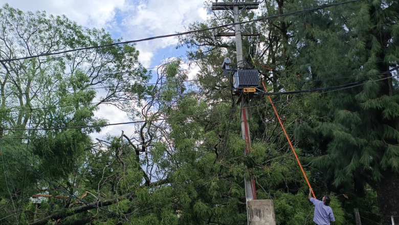 General Belgrano: EDEA continúa trabajando para reestablecer el servicio tras el temporal