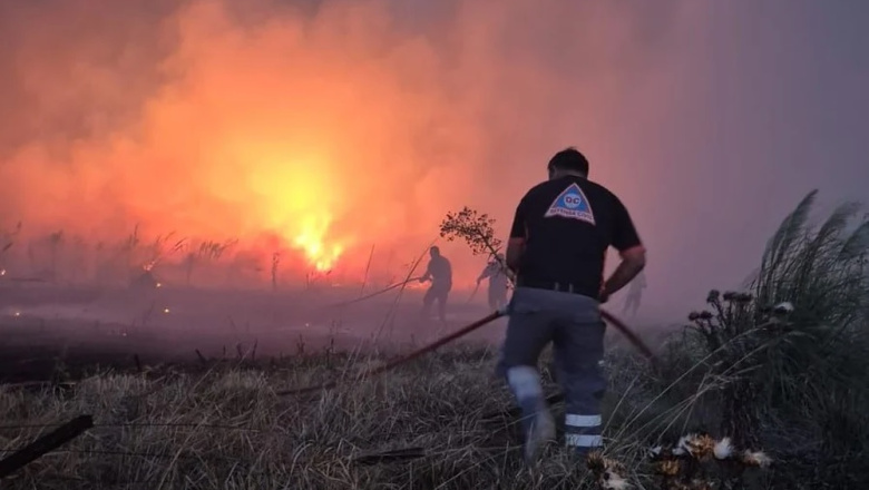 Mar del Plata: hay más de 200 hectáreas consumidas por incendios