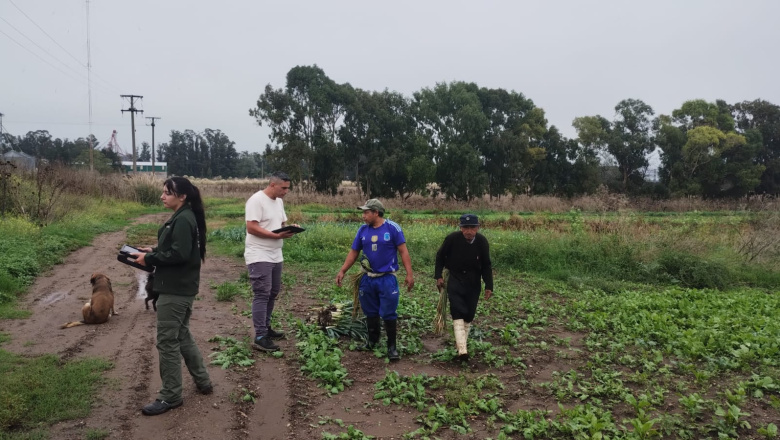 Detectan 21 trabajadores rurales sin registrar en operativos en Necochea y Quequén