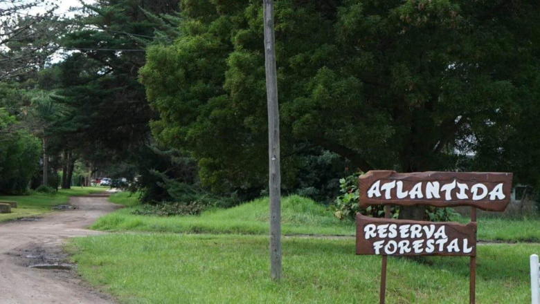 Cuestionan el nuevo barrio ALIWEN en Santa Clara del Mar: “Tiene que crecer de forma ordenada, sustentable y responsable”