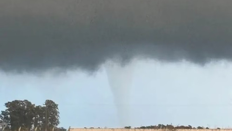 Las Flores: especialistas aseguran que el tornado que azotó la zona rural fue un F2 y que habría sido catastrófico si impactaba en la planta urbana
