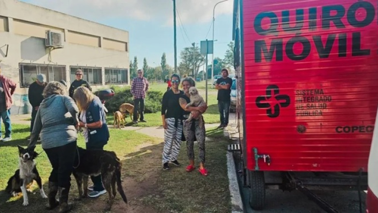 Estiman que en 2025 el municipio de Tandil castró sólo el 30 % del mínimo de animales fijado por ordenanza