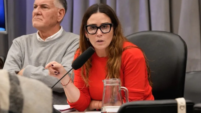 Diputada nacional del Frente Renovador cuestionó los cambios en Zona Fría y alertó por el impacto en las tarifas