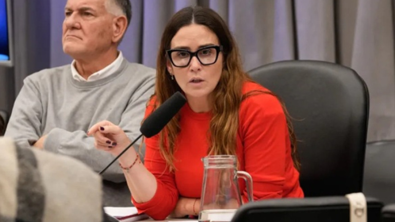 Diputada nacional de Necochea prepara un amparo colectivo contra la quita de la Zona Fría