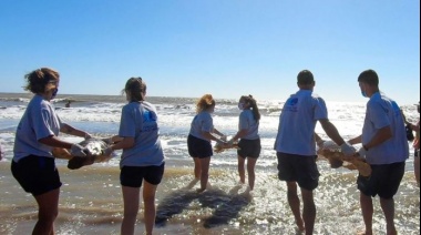 Rehabilitan y regresan al mar a seis tortugas marinas: una expulsó 10 tipos de plásticos diferentes