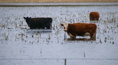 ARBA eximió este año del Inmobiliario Rural a campos de distritos afectados por inundaciones