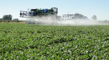 Rauch: advierten por ordenanza municipal que habilita el uso de agroquímicos