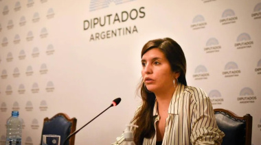 La ministra de Ambiente bonaerense denunció "censura" en la audiencia por la ley de Glaciares