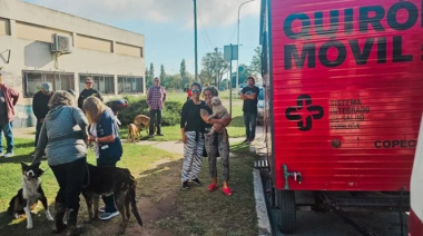 Estiman que en 2025 el municipio de Tandil castró sólo el 30 % del mínimo de animales fijado por ordenanza