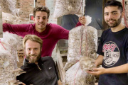 Duró poco: en menos de dos años, cerró en Balcarce la primera biofábrica de insectos
