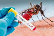 La Provincia comienza a vacunar a quienes no hayan tenido dengue