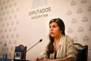 La ministra de Ambiente bonaerense denunció "censura" en la audiencia por la ley de Glaciares