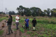 Detectan 21 trabajadores rurales sin registrar en operativos en Necochea y Quequén