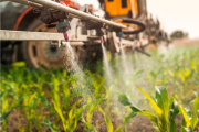Denuncian más fumigaciones ilegales en Mar Chiquita