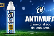 Finalmente, la Anmat no prohibió el desinfectante de ambientes "antimufa"