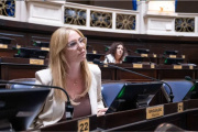 Para Marcela Basualdo, la modificación del régimen de zona fría es un “golpe directo a la calefacción familiar de nuestra comunidad”