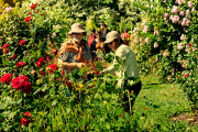 En octubre, llega la “Expo Jardín del Salado” a San Miguel del Monte